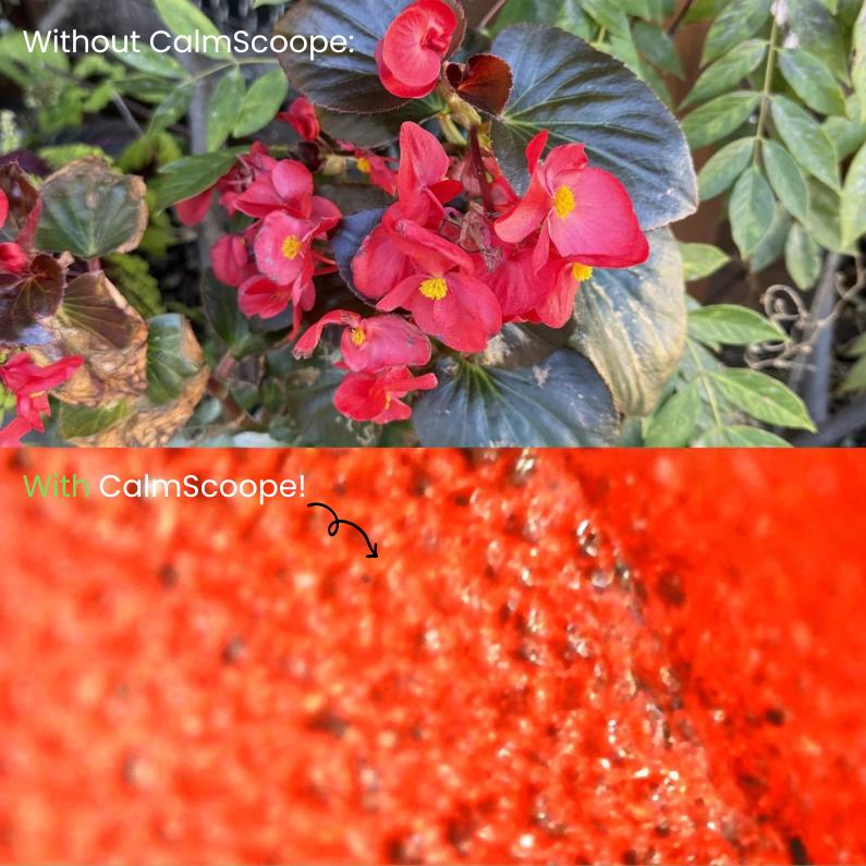 CalmScope™ | Energy Into Focus