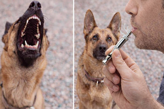 CalmBark | Ultrasonic Training Whistle