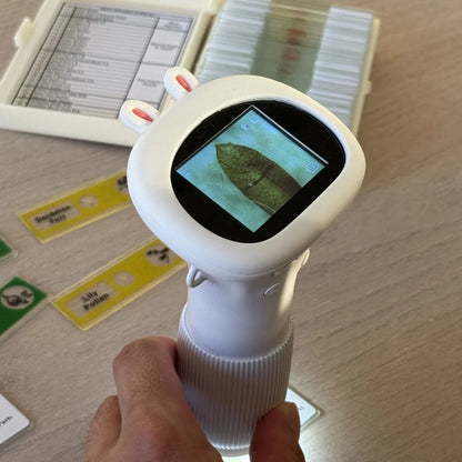 CalmScope™ | Energy Into Focus