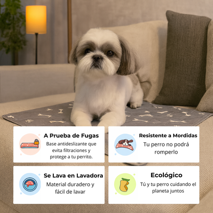 CalmaPad | Odor-Free, Stress-Free