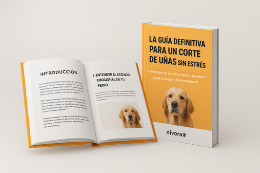 The ultimate guide to stress-free nail trimming