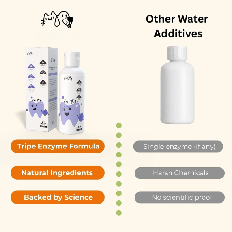 Nivora™ | Calm Dental Care