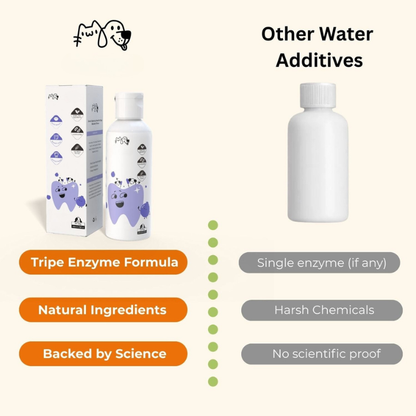 Nivora™ | Calm Dental Care