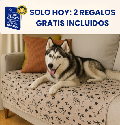 CalmaPad | Odor-Free, Stress-Free